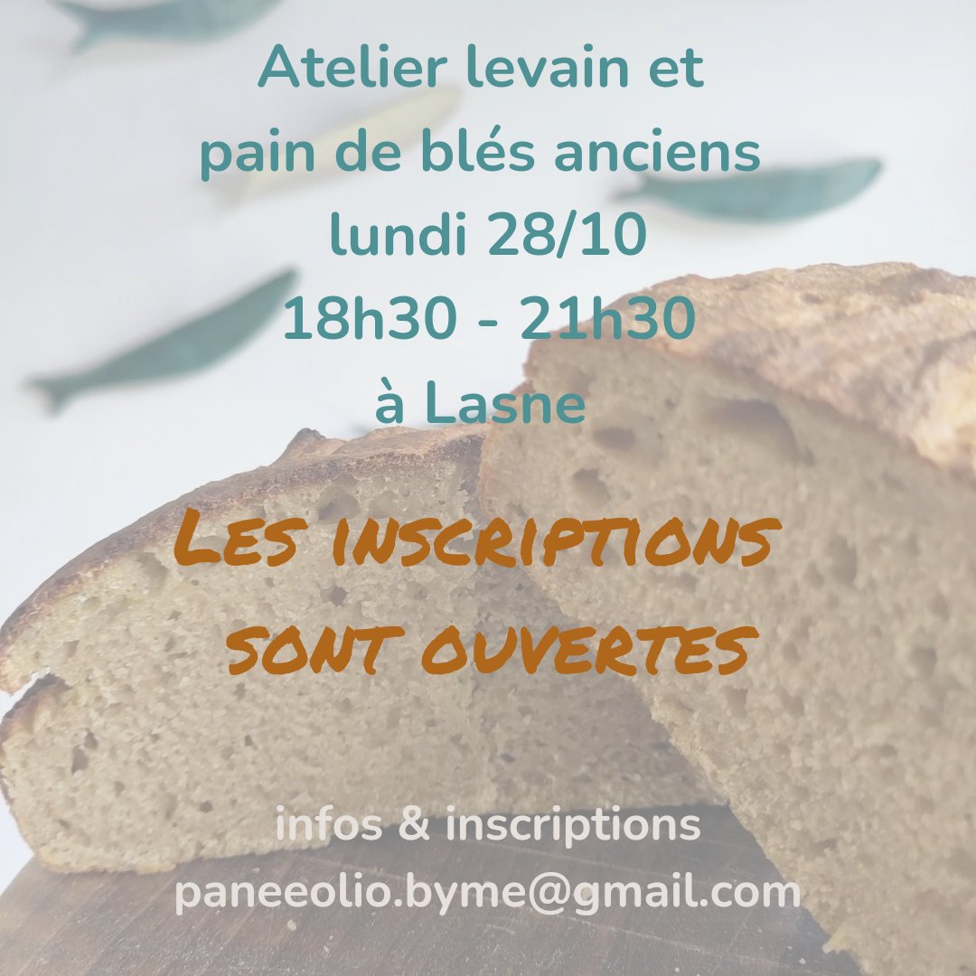 Atelier Levain et Pain de Blés Anciens 