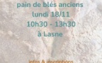 Atelier levain et pain de blés anciens 