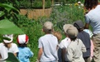 Chouette nature à la ferme [4-6 ans]