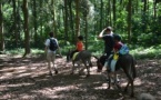 Ferme et forêt [4-8 ans]