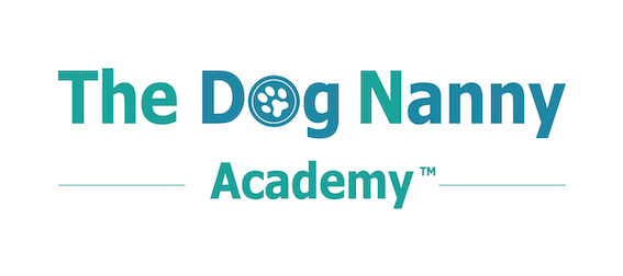 The Dog Nanny : La douce voix des chiens du Brabant wallon, Comportementaliste et éducateur canin (Waterloo et Brabant wallon)