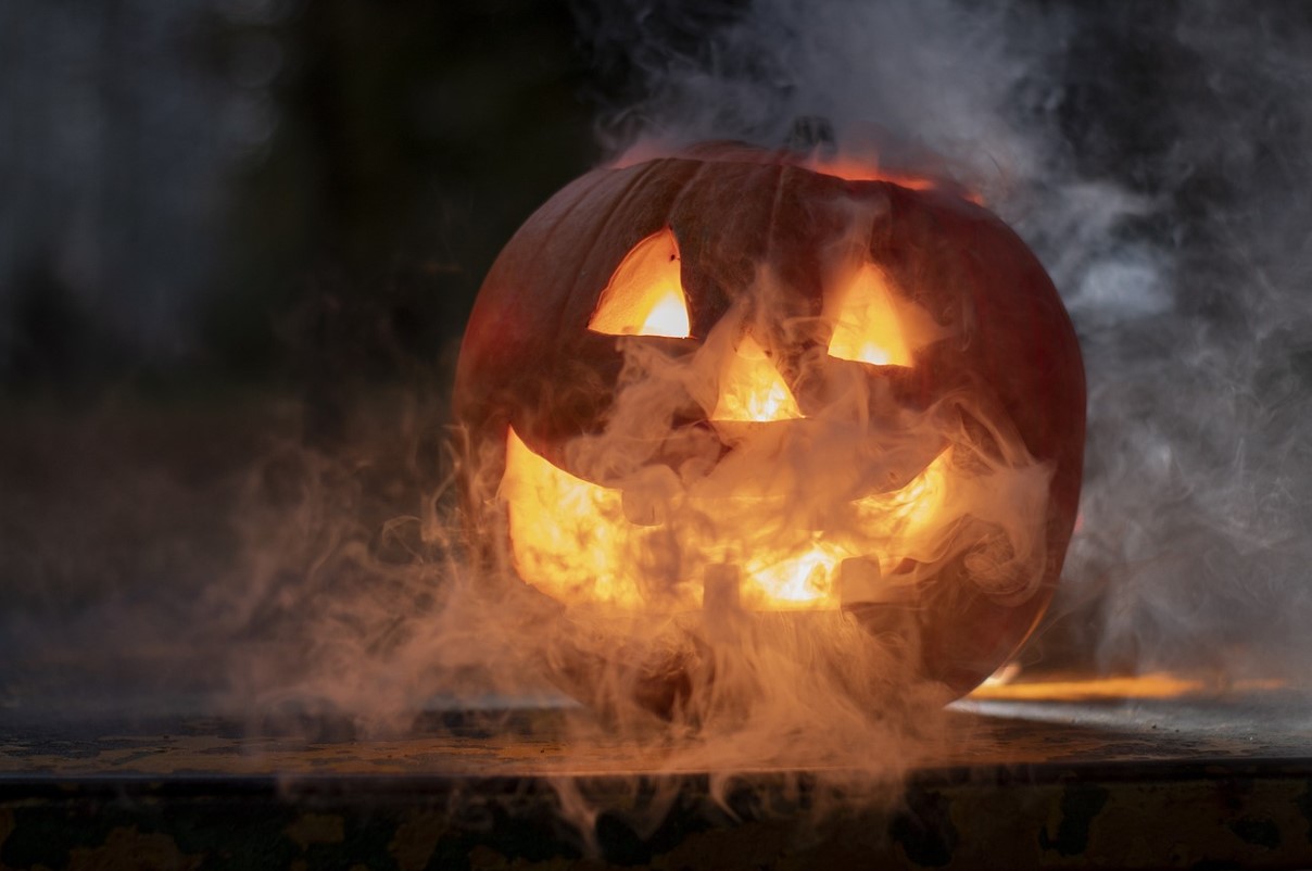 Hallow.een : Balades contées dans la forêt interdite – Une expérience à frissons pour petits et grands