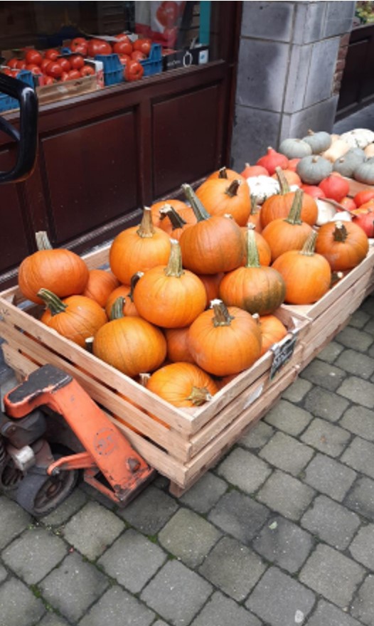 Braderie d’automne 2024 à Nivelles : Les Aclots à l’école des sorciers