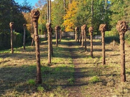 La réserve éducative réaménagée pour une biodiversité renforcée