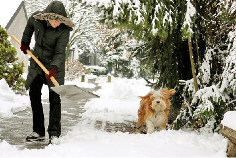 Neige ou verglas : petit rappel des bons réflexes