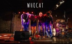 Whalain : Whocat en concert