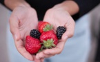 Nivelles : Fête des petits fruits... et des légumes de saison