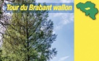 Savourez l’été indien sur les sentiers GR du Brabant wallon