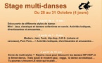 Nivelles : Stage Multi-danses !