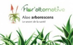 Flor'alternative : Les vertus de l’aloé arborescens