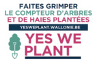 Le Béwé à nous de jouer ! Yes we plant : 4 000 km de haies ou 1 million d’arbres