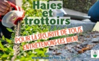 Waterloo : Haies et trottoirs: 5 choses à savoir