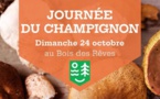 Journée du Champignon au Bois des Rêves