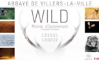 Exposition Wild de Michel d’Oultremont.