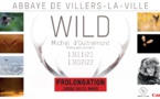  Exposition photos : prolongation | "Wild" de Michel d’Oultremont  | Du 13 novembre 2021 au 21 mars 2022 | Villers-la-Ville