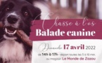 Chasse à l'os (balade canine) | Le 17 avril 2022 | Wavre