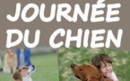 La Journée du chien | Le 8 mai 2022 | Waterloo