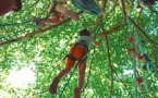 Ottignies : Un dimanche enchanté au Bois des Rêves avec ADN - Art dans la nature !