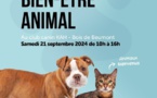 La Journée du Bien-être animal : un rendez-vous à ne pas manquer à Wavre