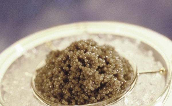 Waterloo : CASPIAN TRADITION ET LA MAISON DU CAVIAR - LE SAVOIR-FAIRE  AU SERVICE DU GOUT !