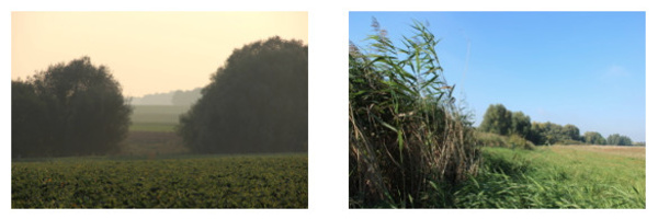 Deux nouvelles réserves naturelles en Brabant wallon !