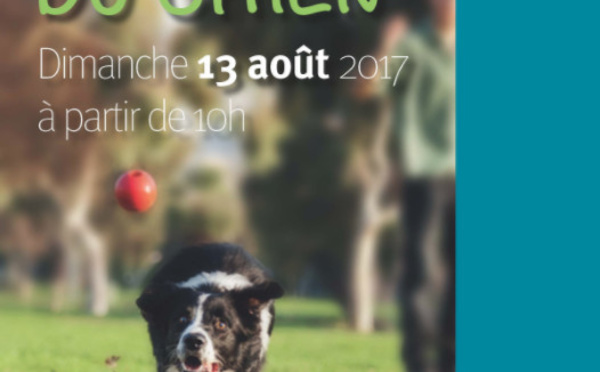 Journée du chien au Domaine provincial d'Hélécine