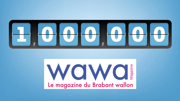 Le site web WaWa Magazine c'est déjà plus de 1.000.000 de pages vues en 2017 !