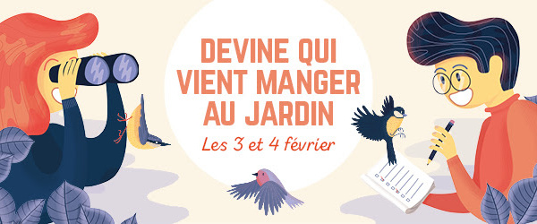 "Devine qui vient manger au jardin" : les premiers résultats !