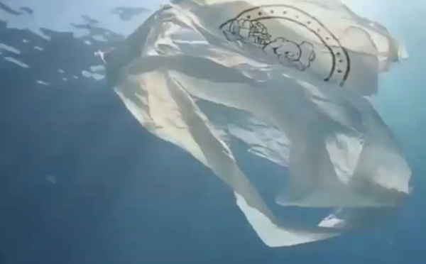 Des sacs en plastiques solubles dans l'eau !