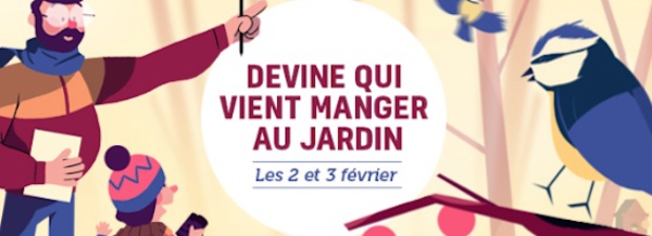 Mais où se cachent les oiseaux des jardins ?