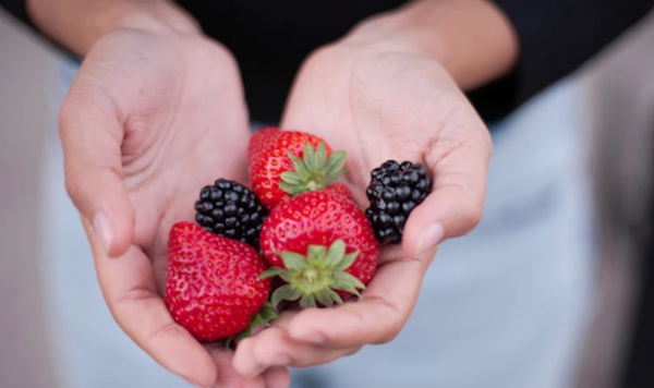 Nivelles : Fête des petits fruits... et des légumes de saison