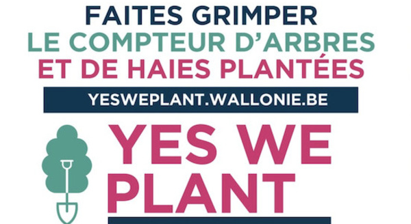 Le Béwé à nous de jouer ! Yes we plant : 4 000 km de haies ou 1 million d’arbres