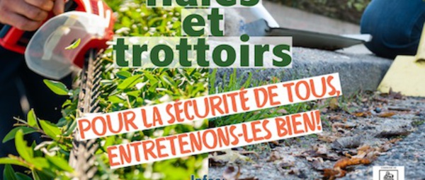 Waterloo : Haies et trottoirs: 5 choses à savoir