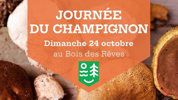 Journée du Champignon au Bois des Rêves