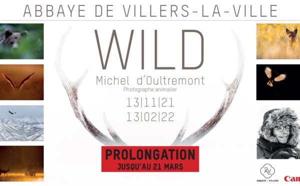  Exposition photos : prolongation | "Wild" de Michel d’Oultremont  | Du 13 novembre 2021 au 21 mars 2022 | Villers-la-Ville