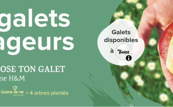 Exposition : Les Galets voyageurs | Du 21 février au 16 avril | Waux-Hall à Nivelles