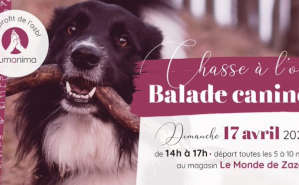 Chasse à l'os (balade canine) | Le 17 avril 2022 | Wavre