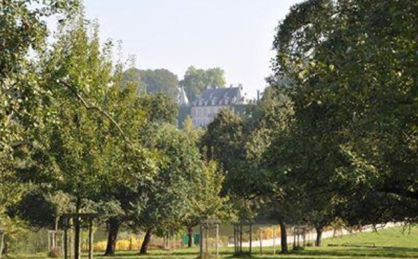 “LA FETE AU VERGER” verger conservatoire du Domaine régional Solvay