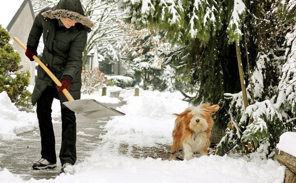 Neige ou verglas : petit rappel des bons réflexes