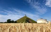 Martin’s Cycle Tour: Discover Walloon Brabant and Beyond by Bike